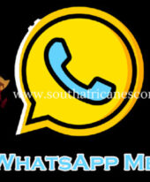 BOOK NOW :- 8750020700 Call Girls in Sector 6 Noida